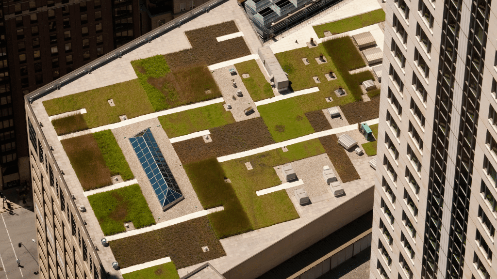 Sustainable rooftop landscape